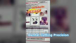 অটোফোর গ্লোবাল অ্যালায়েন্স ডিলার